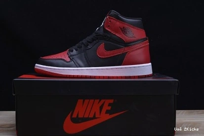 JORDAN AIR 338 RETRO 1 DailyWear 1010